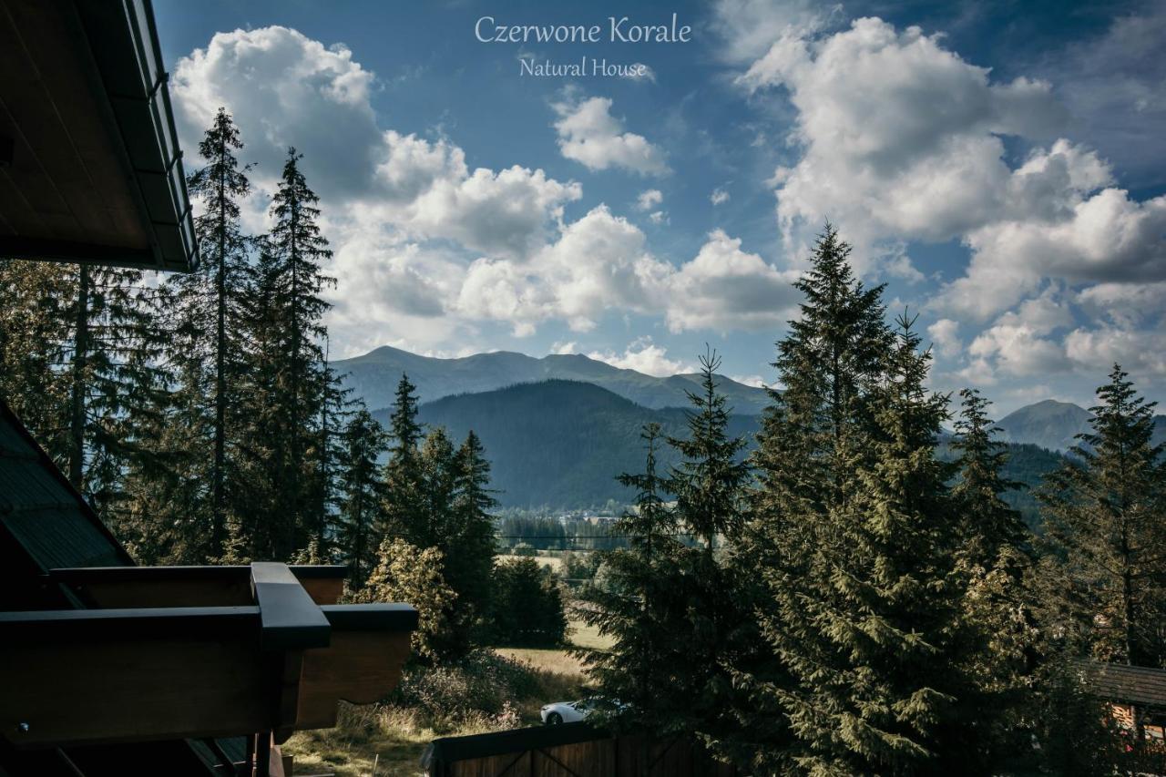 Magiczne Korale - Kameralne Miejsce Na Odpoczynek Dla Doroslych - Adult Only Kościelisko Exteriér fotografie
